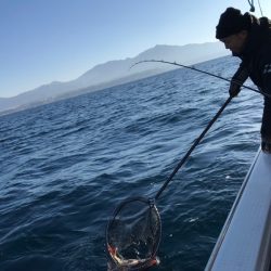 龍神丸(鹿児島) 釣果