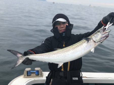 丸万釣船 釣果