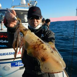 きずなまりん 釣果