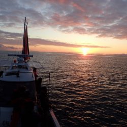 タイラバ遊漁船 ワンピース 釣果