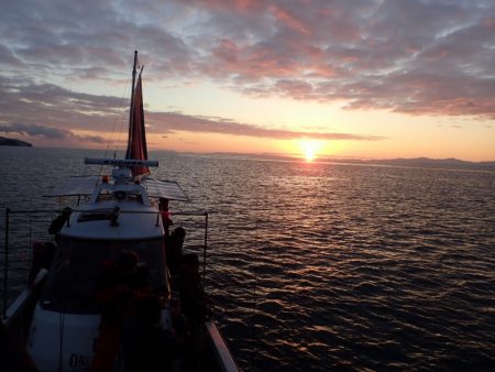 タイラバ遊漁船 ワンピース 釣果