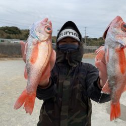 ぽん助丸 釣果