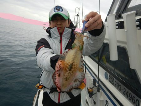 きずなまりん 釣果