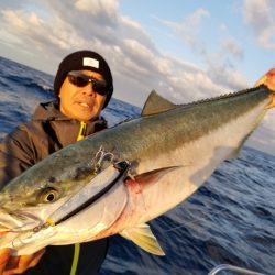 アマテラス 釣果