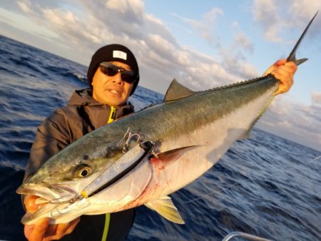 アマテラス 釣果