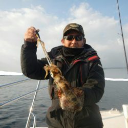 きずなまりん 釣果