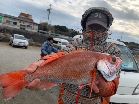 ぽん助丸 釣果
