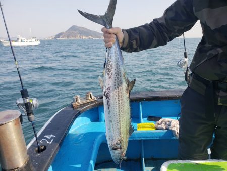 丸万釣船 釣果