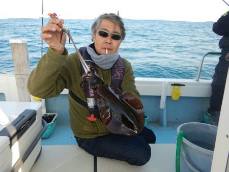 きずなまりん 釣果