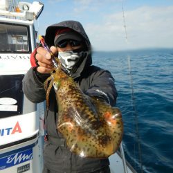 きずなまりん 釣果