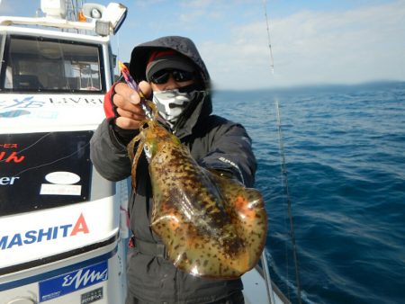 きずなまりん 釣果