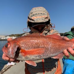 ぽん助丸 釣果