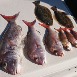 遊漁船 家入 釣果