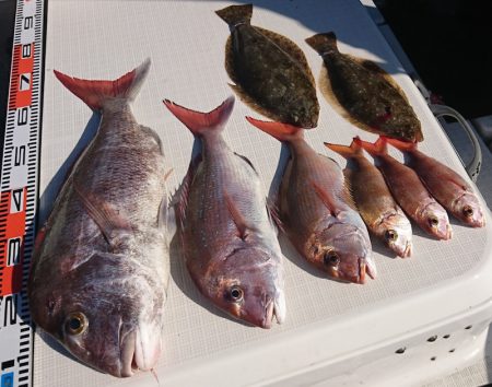 遊漁船 家入 釣果