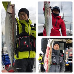 ビッグファイター 釣果