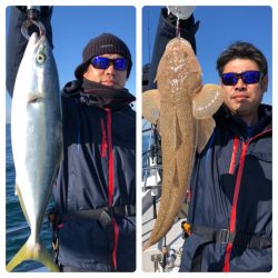 ビッグファイター 釣果