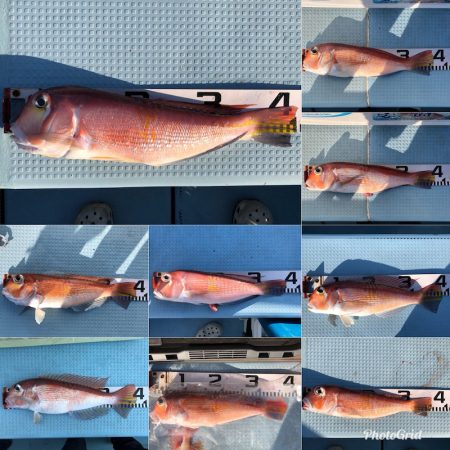 第二八坂丸 釣果