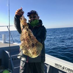 South Current 釣果