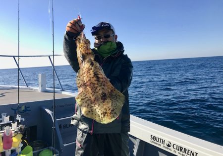 South Current 釣果