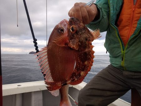 ひな丸 釣果