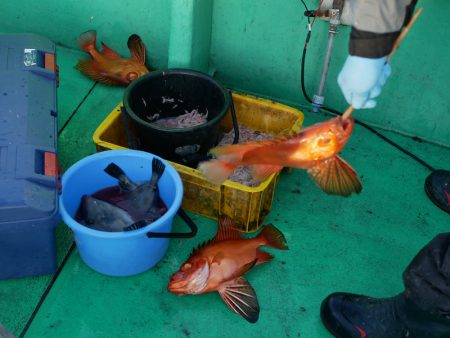 第三むつりょう丸 釣果