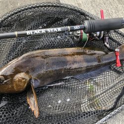 東北太平洋側ロックフィッシュ釣行★アフタースポーンのアイナメを狙う【そ～あ氏連載 vol.7】