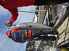 遊漁船 未紗奈 釣果