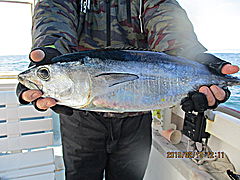 遊漁船 未紗奈 釣果