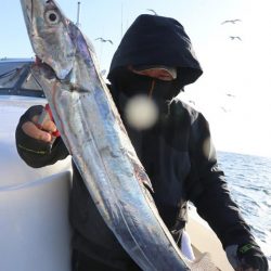 スカイマリン 釣果