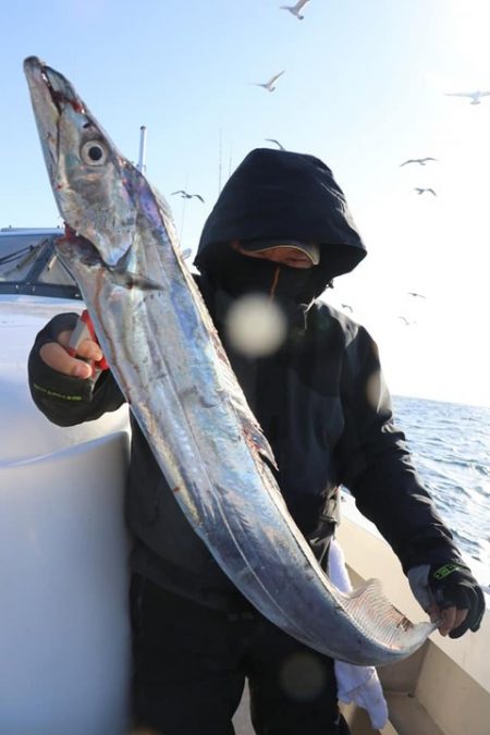 スカイマリン 釣果