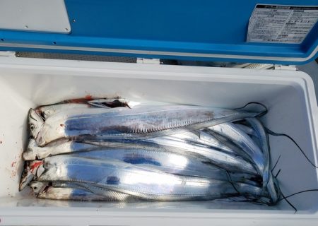 遊漁船　ニライカナイ 釣果