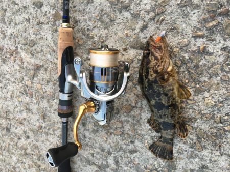 今日も渋いかな。