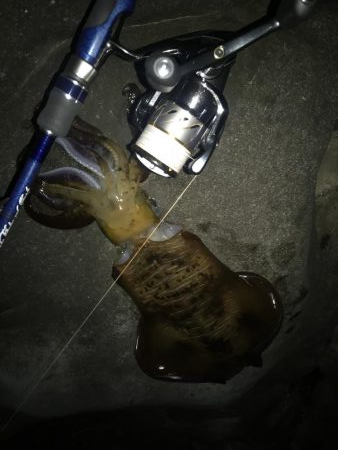 待望ののキロアップ！