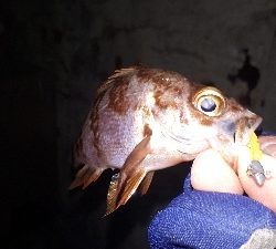 強風かと思えば・・・ラッキー