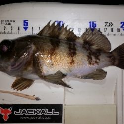 少しパターンが変わった?