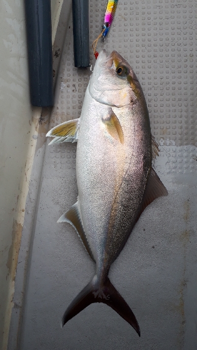 筋肉痛ジギング