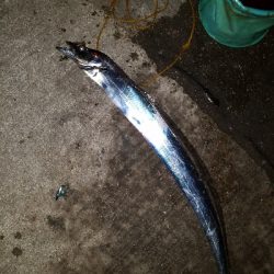 太刀魚釣り ~指四本、91センチ~