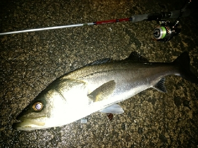 メバリングのはずが