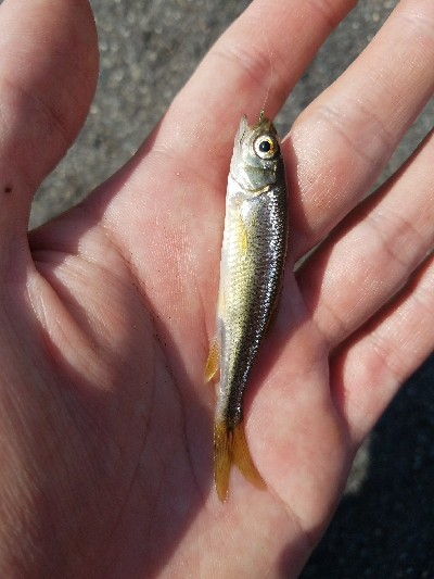 小物釣り　～もう春やん！？～