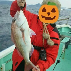 遊漁船(シードリームさん。午前中のみ)の釣果