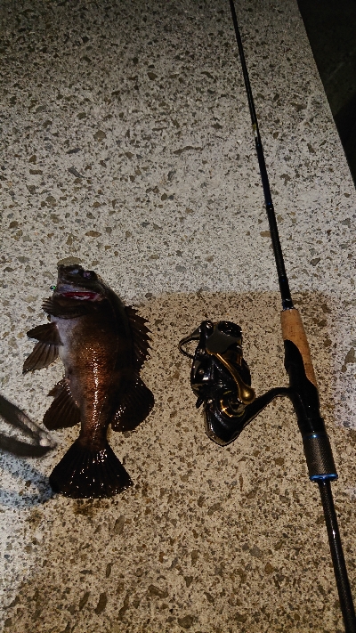 気になるポイントで…