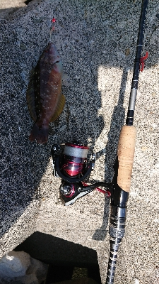 牛深エリア釣行