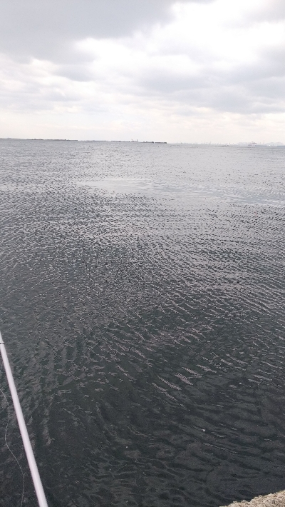 久しぶりのエビ撒き