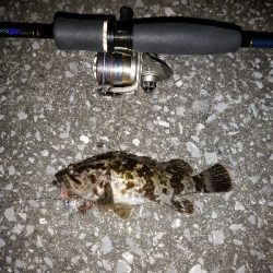 風を避けて移動しながら