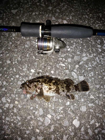 風を避けて移動しながら