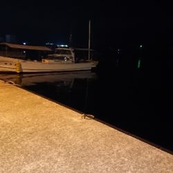 プラグ縛りの釣行