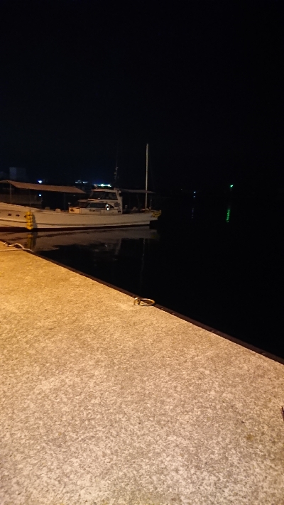 プラグ縛りの釣行