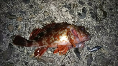 もう少しで尺だった