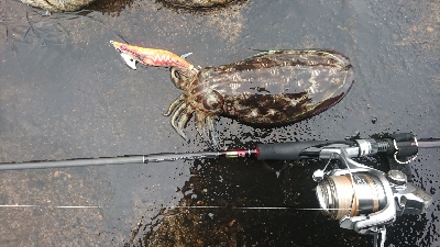 スーパームーンの下で