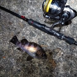 短時間メバリング